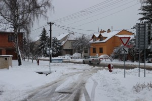 Výhon